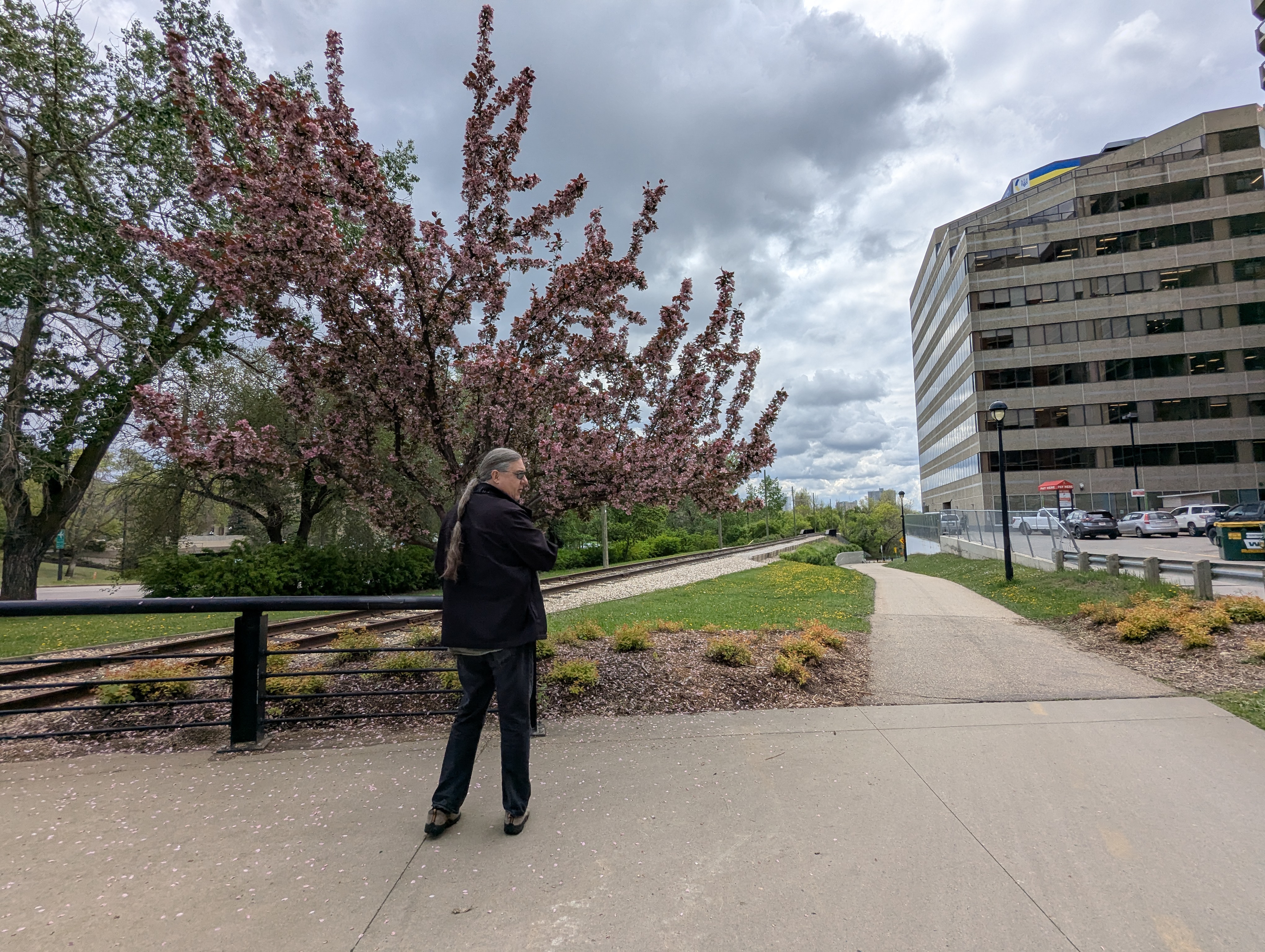 Birthday Trip to Canada, Government Center, Edmonton, Michael Sanders